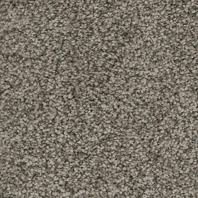 Sweet Emotion-Broadloom Carpet-Marquis Industries-BB006 Desert Dune-KNB Mills