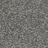 Sweet Emotion-Broadloom Carpet-Marquis Industries-BB009 Loft-KNB Mills