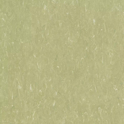 Tarkett VCT II-Vinyl Composition Tile-Tarkett-526 Green Grape-KNB Mills