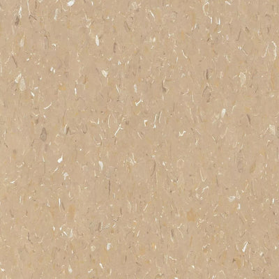 Tarkett VCT II-Vinyl Composition Tile-Tarkett-527 Military Tan-KNB Mills