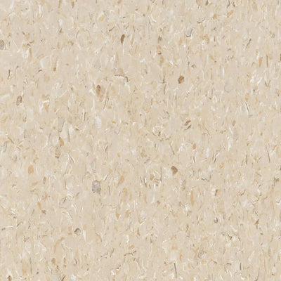 Tarkett VCT II-Vinyl Composition Tile-Tarkett-533 True Beige-KNB Mills