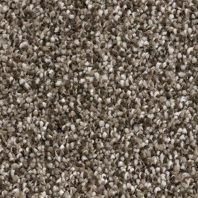 Thriller-Broadloom Carpet-Marquis Industries-BB013 Chocolate Chip-KNB Mills