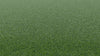 Tips Elite Putt-Synthetic Grass Turf-Shawgrass-KNB Mills