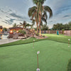 Tips NY Tee Line-Synthetic Grass Turf-Shawgrass-Shaw Golf-300-Nylon-0.5-KNB Mills