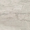 Tivoli-Ceramic Tile-Casabella Floors-Silver-KNB Mills