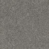 Top Gun-Broadloom Carpet-Earthwerks-Top Gun Silver Fox-KNB Mills