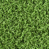 Troon-Synthetic Grass Turf-GrassTex-G-Field/Apple-Silverback- Unperforated-1"-KNB Mills
