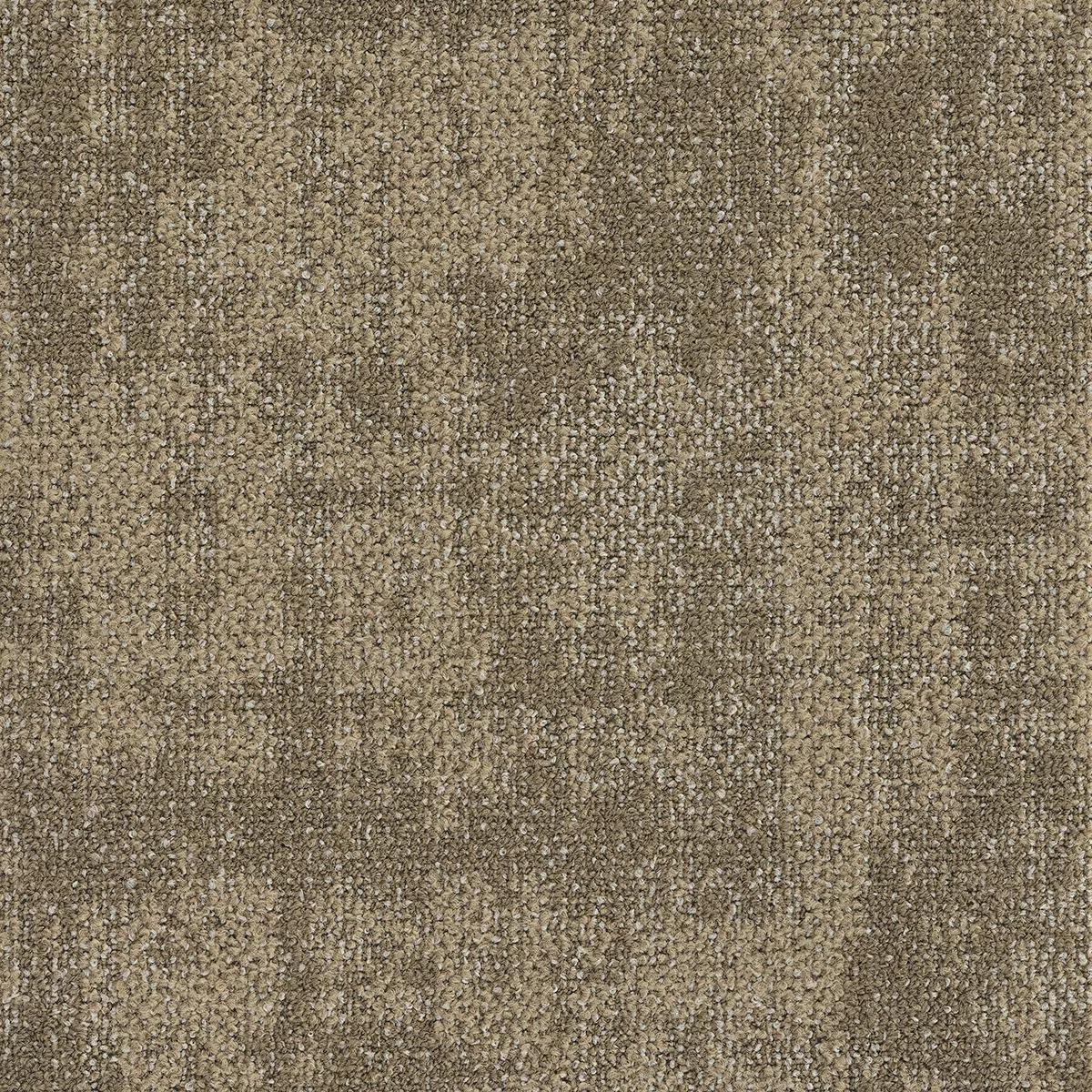 Tundra Flower-Carpet Tile-Tarkett-Carpet Tile-Arid Plains-KNB Mills