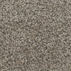 Twilight Zone-Broadloom Carpet-Marquis Industries-BB001 Birch Bark-KNB Mills