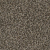 Twilight Zone-Broadloom Carpet-Marquis Industries-BB004 Swiss Mocha-KNB Mills
