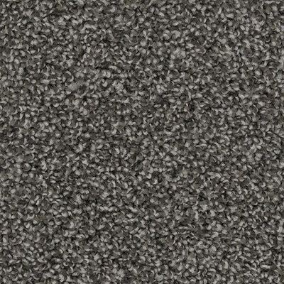 Twilight Zone-Broadloom Carpet-Marquis Industries-BB008 Grand Teton-KNB Mills