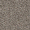 Urban-Broadloom Carpet-Earthwerks-Urban Trenton-KNB Mills