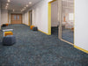 Visual Path-Carpet Tile-Tarkett-Carpet Tile-Be You-KNB Mills